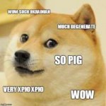 14955548412070.jpg
