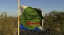 pepeflag.webm
