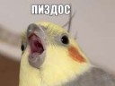 hqdefault[1]