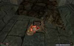 Morrowind 2018-08-06 21.55.56.950.jpg