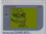 1565206716035.jpg