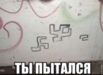 14156272022107792780[1].jpg