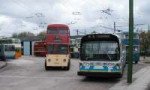 P5020136a.JPG