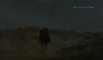 45654645.webm