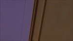 15331261519241.webm