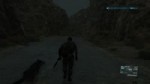 11.webm