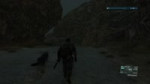 11.webm