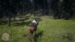 Red Dead Redemption 2201812052229401.webm