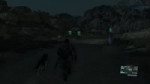 5.webm