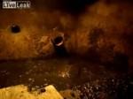 Man swimming septic tank.webm