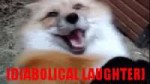 tenor.gif