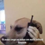 15562674951190-b.jpg