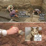 54163.jpg