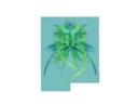  .webm