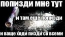 15030134695960.png
