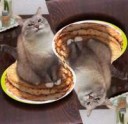 AFLYrtxnM-Y.jpg