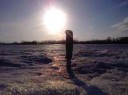20170316-0044