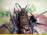 Warhammer-40000-фэндомы-Orks-Genestealer-Cult-2545487.jpeg