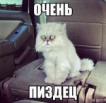 14206222280120.jpg