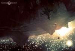 BlackstoneArt-Nov11-NewDiscoveryArt1vu.jpg