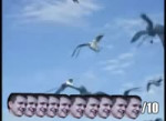 08de63b035c03fc57f891589be750b45.webm