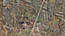 IMG0196-1-1024x587.jpg