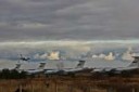 IMG0312-2-1024x681.jpg
