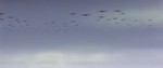 BattleofBritain1969.webm