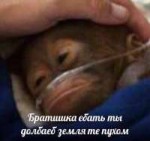 15051548796360.jpg