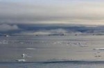 arctic (2).jpg