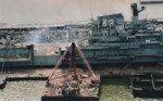 20120217020612dncoralsea800.JPG