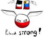 polandstrongbyscourgebih-d83183t.png
