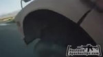 1547895273832.webm