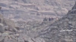 1466131274619.mp4