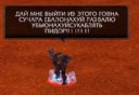 hb5ddTccB-U.jpg