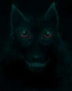 Blackdog.jpg