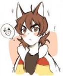 Voltron (2).jpg