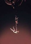 Voltron (23).png