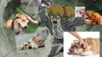 Rei.jpg